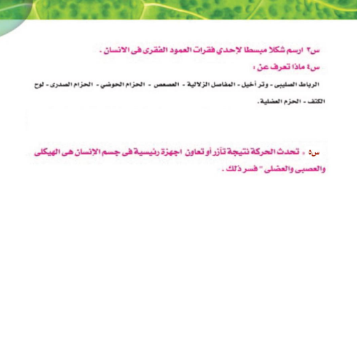 تدريبات درس1 تدريبات درس1